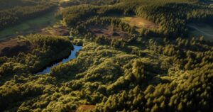 Aerial view of Clocaenog Forest showcasing a diverse landscape with dense tree canopy, open glades, and a reflective lake.