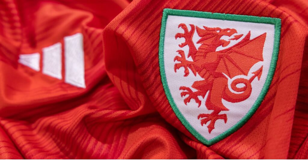 Close-up of the Football Association of Wales logo on a red jersey.