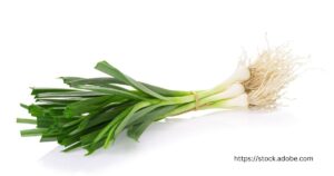 Freshly harvested leeks with vibrant green tops and white bulbs, the national vegetable of Wales.