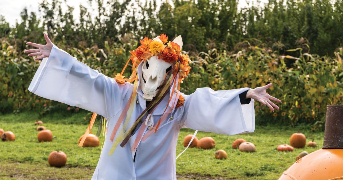 A participant in the Mari Lwyd tradition wearing a white robe and horse's skull adorned with autumnal flowers and ribbons, in a field with pumpkins.