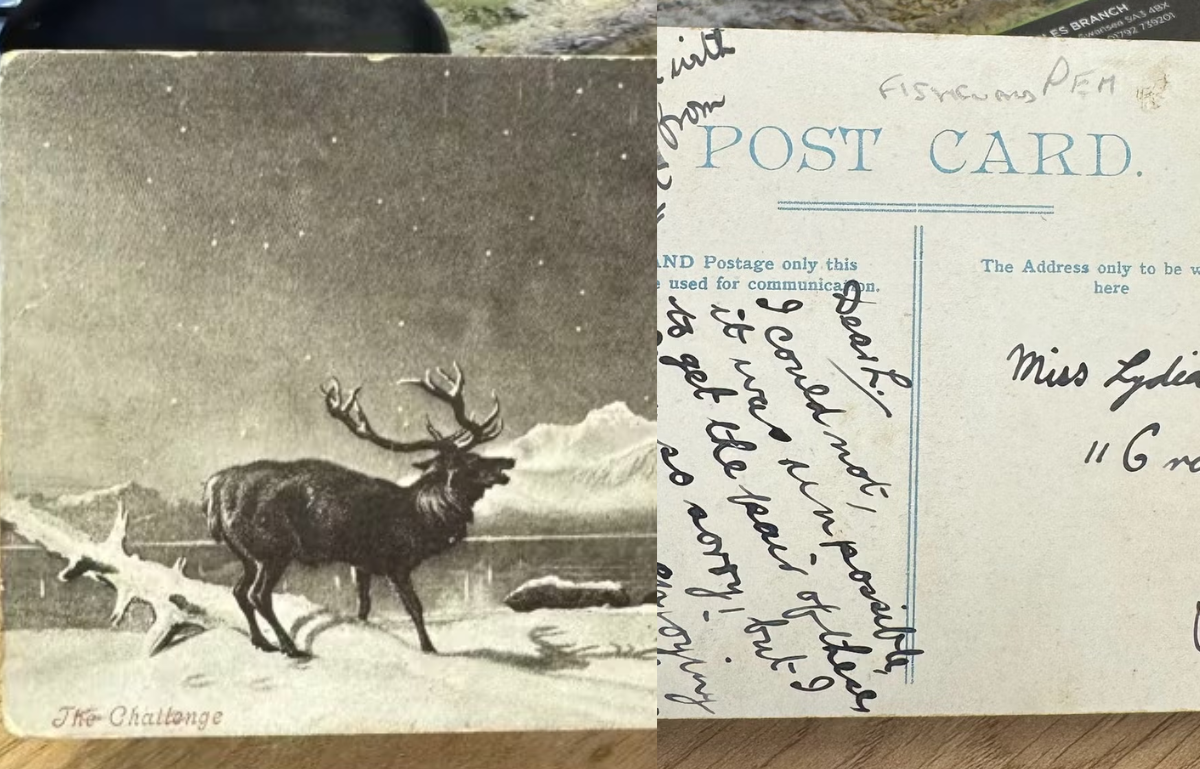 Lost in Time A Century-Old Postcard Finally Delivered in Swansea