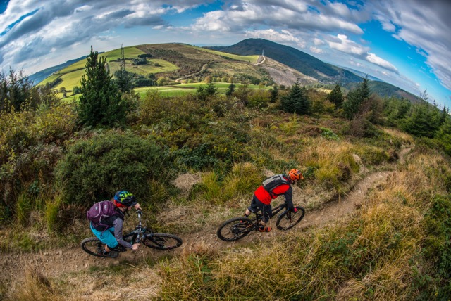 Mountain bikers riding through a forested trail in Afan Forest Park, South Wales