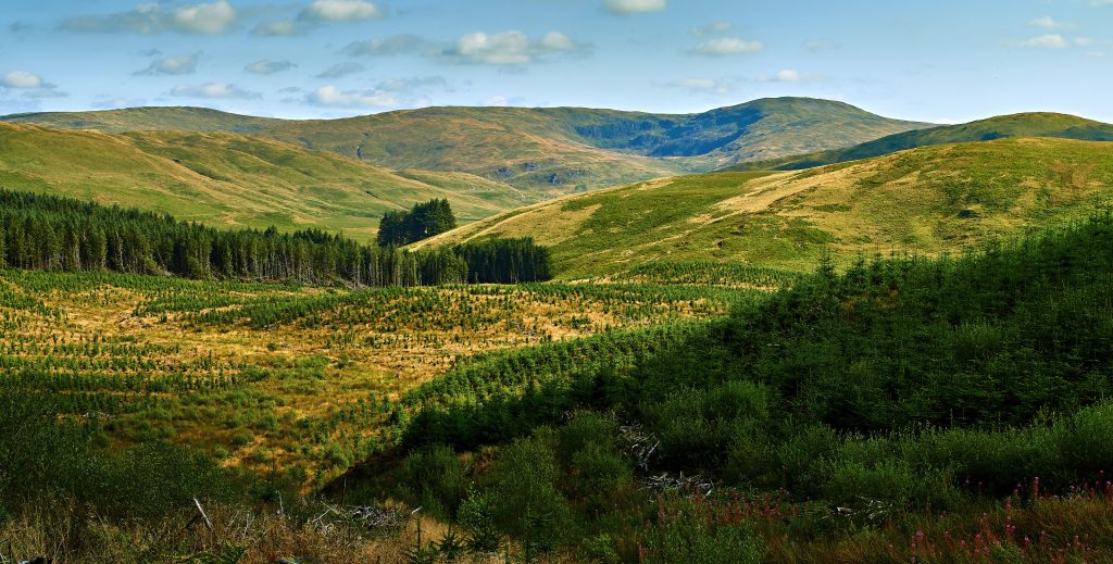 View of Pumlumon Fawr, the highest peak in the Cambrian Mountains, seen from Mynydd Bychan in Mid Wales.