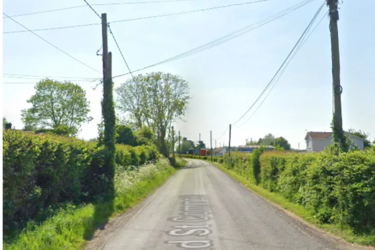 Hedgerow removal plan near Peterstone sparks environmental concerns