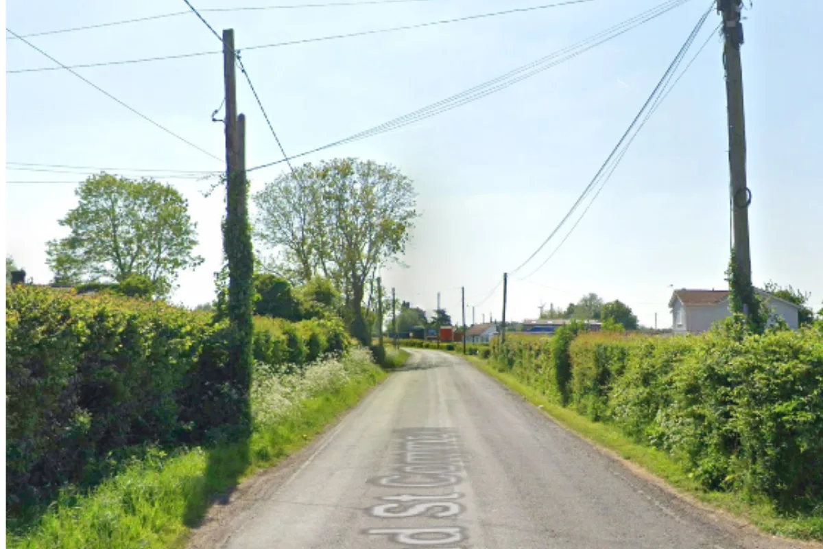Hedgerow removal plan near Peterstone sparks environmental concerns