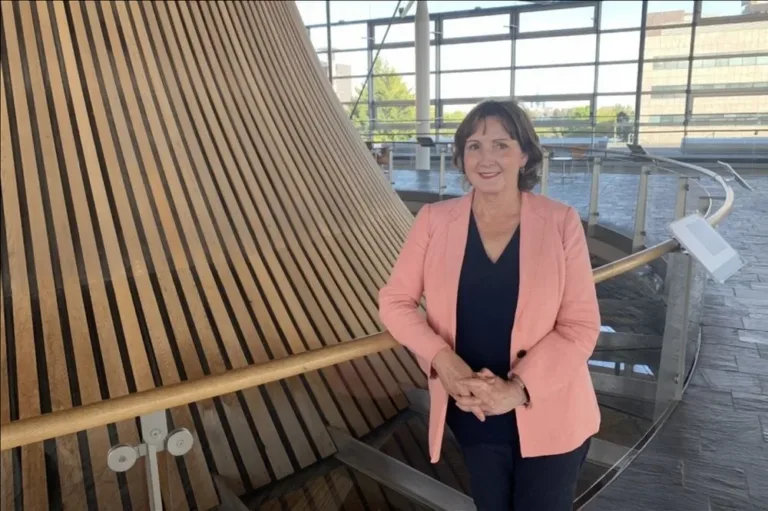 Tory MS questions Welsh‑medium school language policy