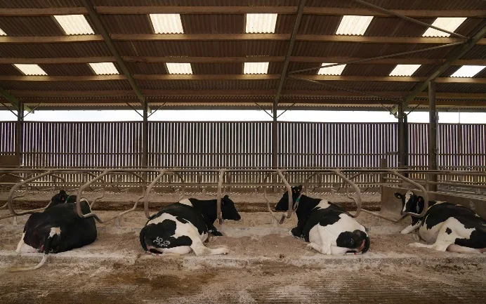 Dairy hygiene key to protecting milk premiums