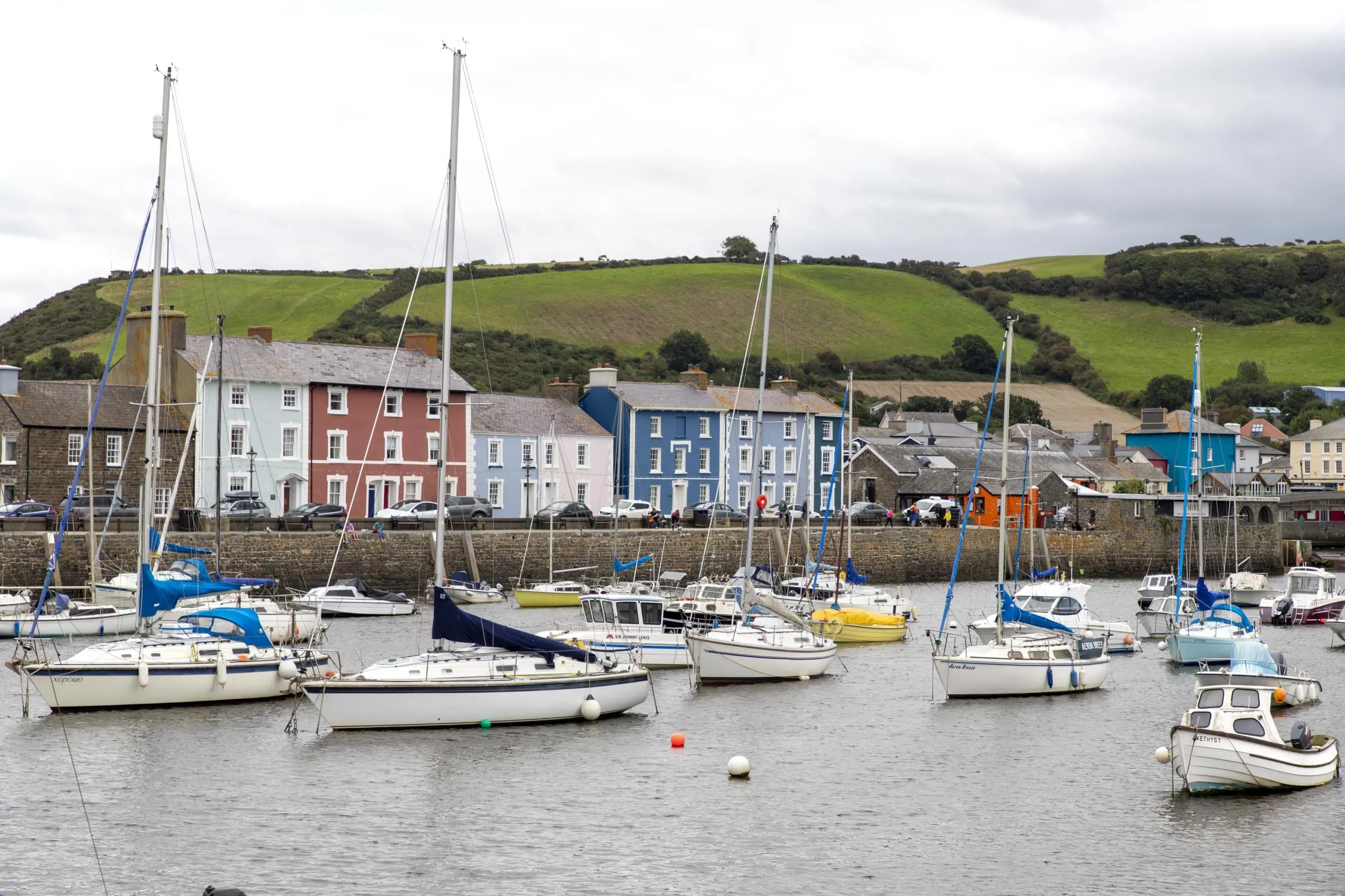 Aberaeron’s new promenade shields homes as dolphins thrive