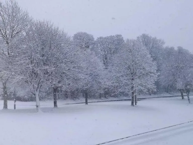 Arctic blast warning: What the cold spell means for North Wales