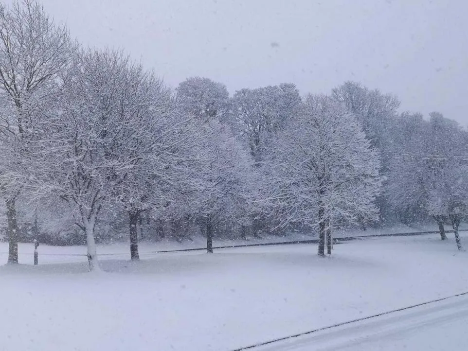 Arctic blast warning: What the cold spell means for North Wales