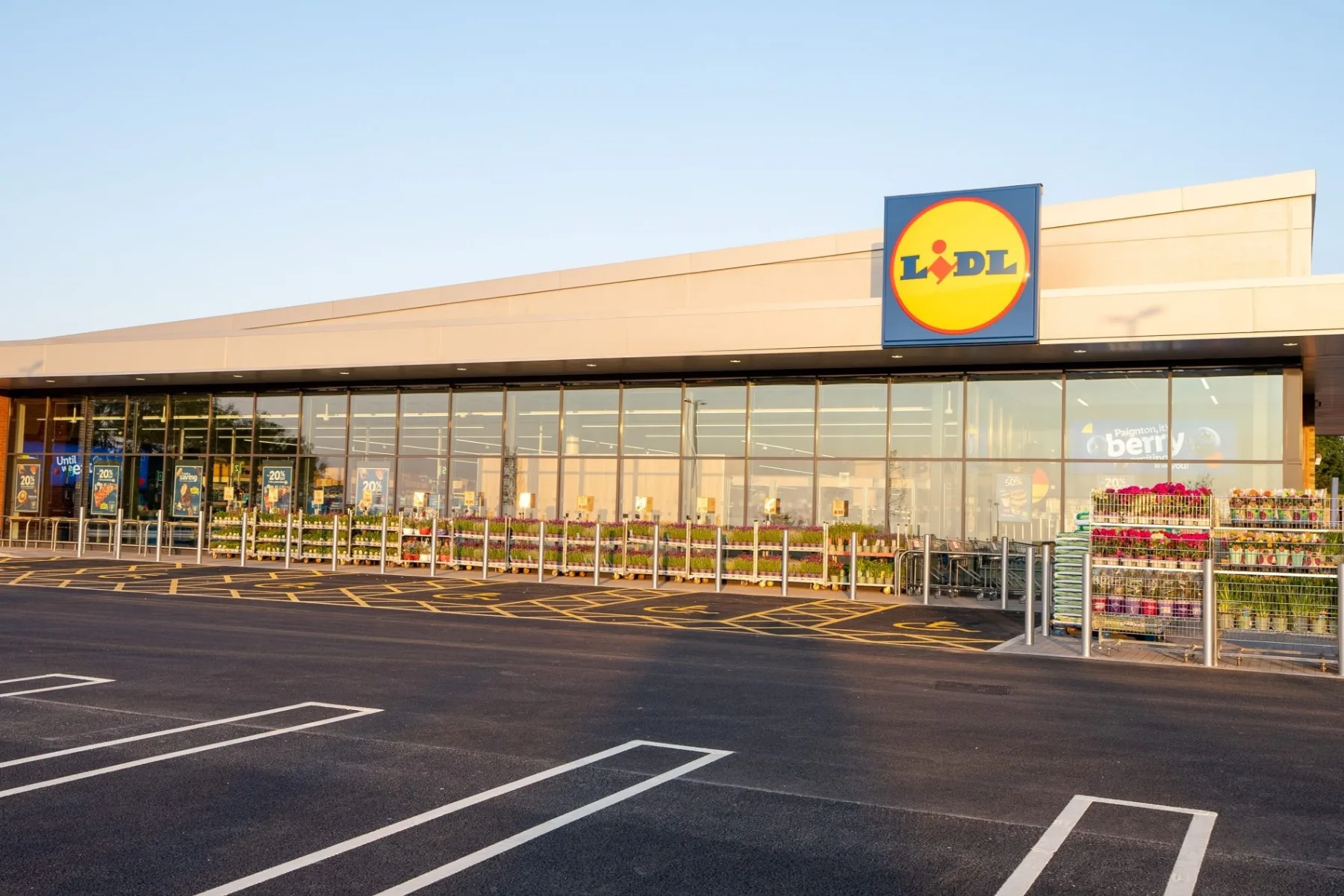 Lidl launches Max & Mila’s World pet loyalty programme