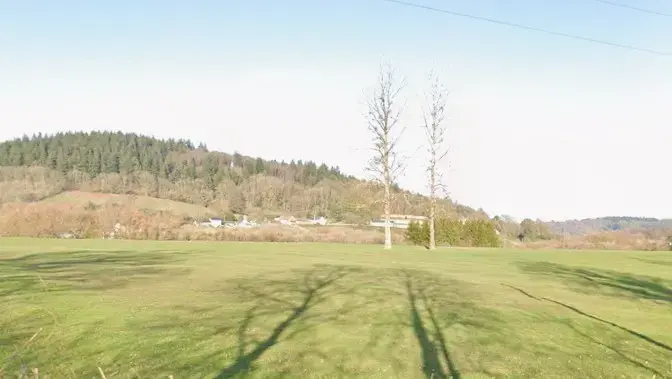 Council plan for 270 homes risks key bat roost