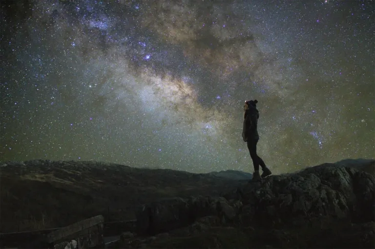 New Forest named UK's best stargazing spot in AA study