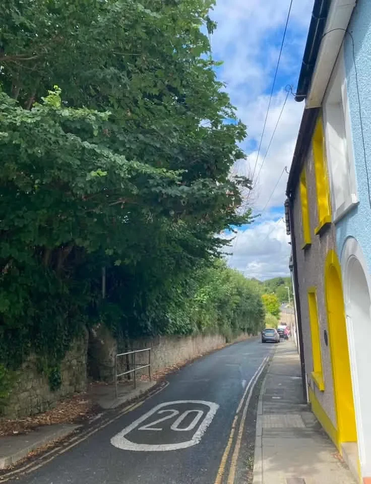 Tenby road closure for tree removal works