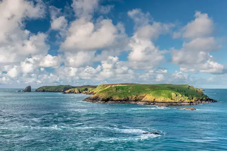 Wales off track on 2030 nature goals, report warns
