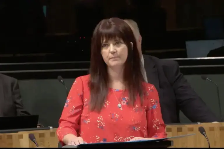 Reform leader mocked over Welsh flag comment in Senedd