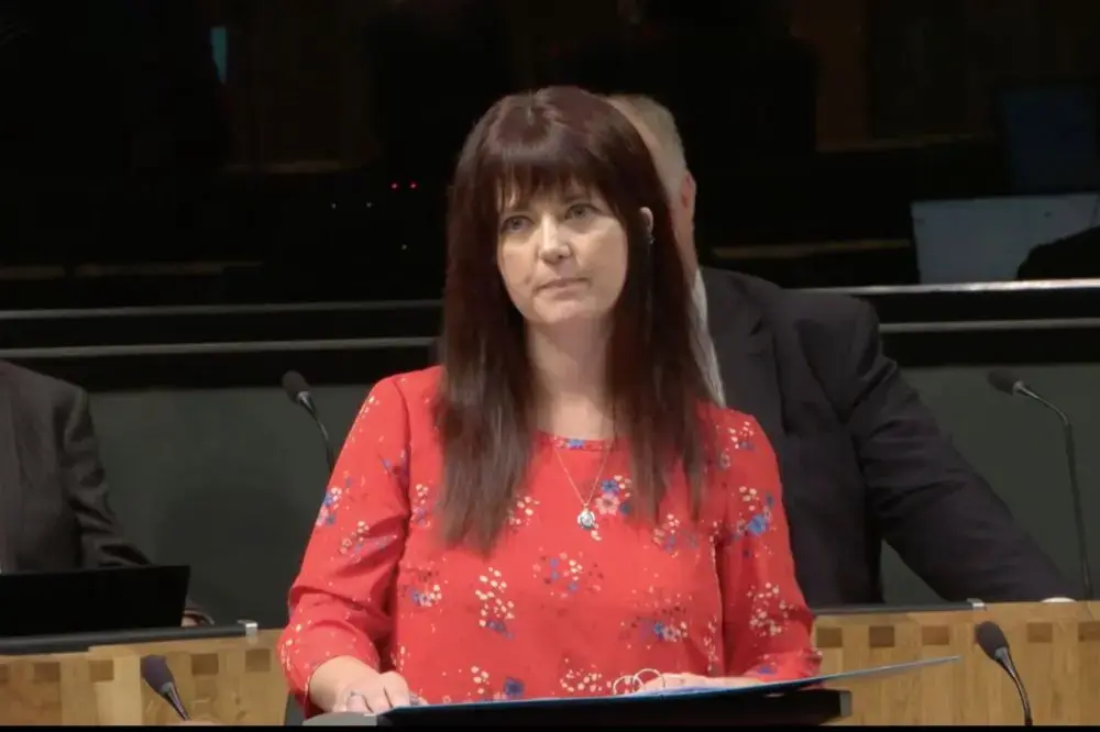 Reform leader mocked over Welsh flag comment in Senedd