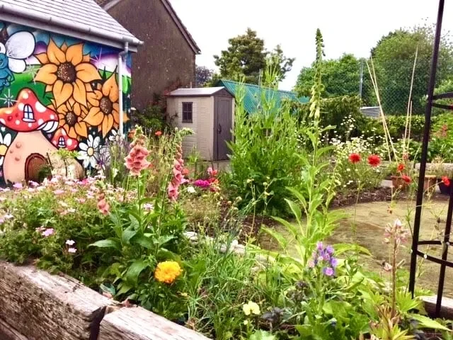 Green Libraries Week sparks climate action across Monmouthshire