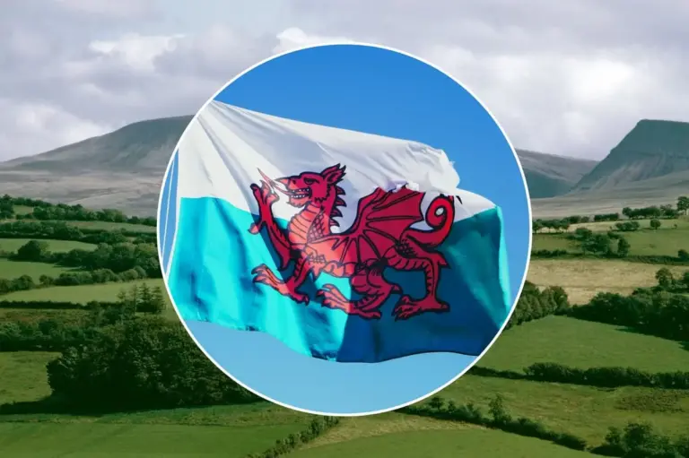 Monmouthshire launches Welsh language strategy consultation
