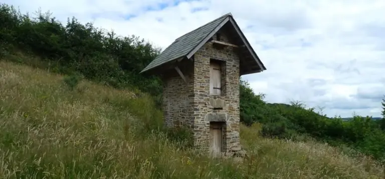 Ceredigion Council awards £60,775 for new wildlife towers