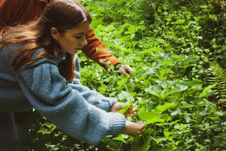 Free community day celebrates Pembrokeshire hedgerows