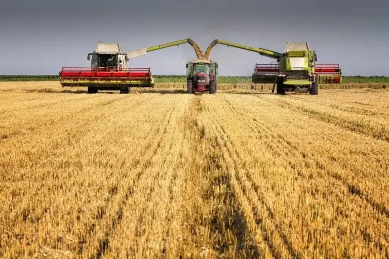 Wales farmers receive £152m advance under new scheme