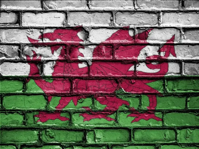 Carmarthenshire Council opens consultation on Welsh‑medium primary schools