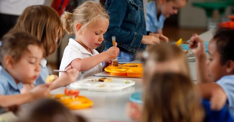 Labour says 30,000 pupils still waiting for free meals