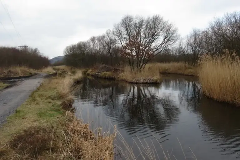 Award celebrates Crymlyn Bog restoration feat