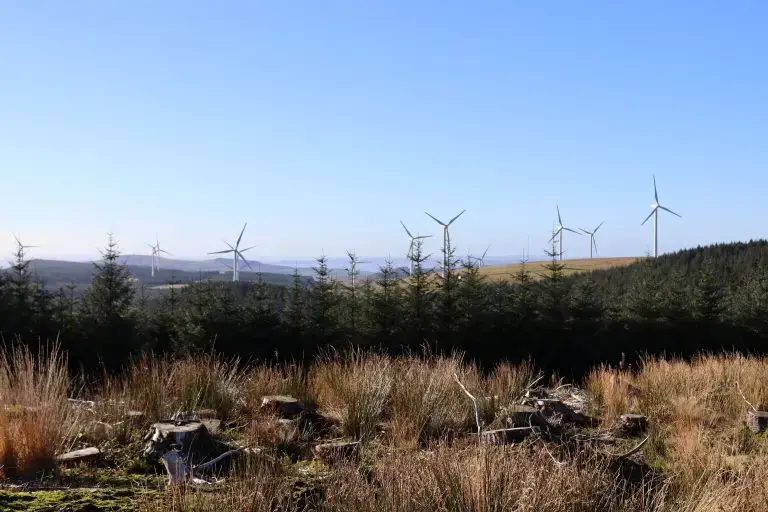 £2m Lottery Boost for South Wales Peatland Restoration