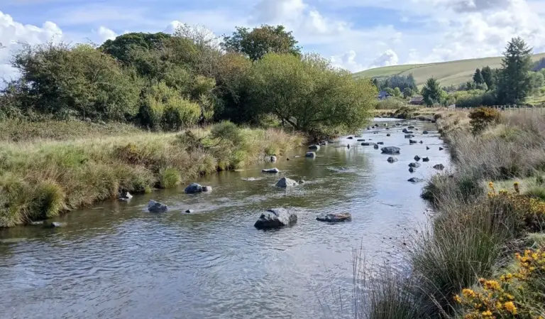 Boulders returned to River Wye to aid salmon survival