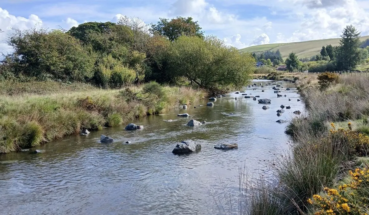 Boulders returned to River Wye to aid salmon survival