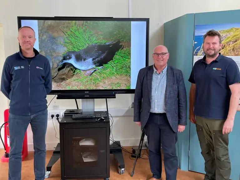 Paul Davies praises Pembrokeshire volunteers rescuing shearwaters