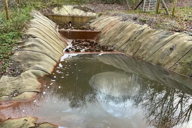 Councillors demand PCB testing at Ty Llwyd lay‑by after TV expose