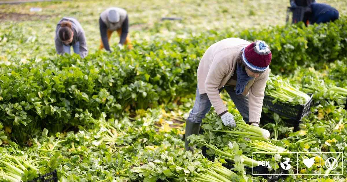 UK farmers warn extreme weather threatens business